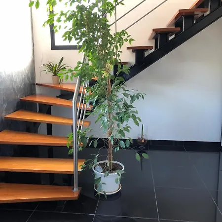 Apartment Rue Du Latham Biscarrosse